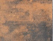 leonis