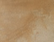 leonis